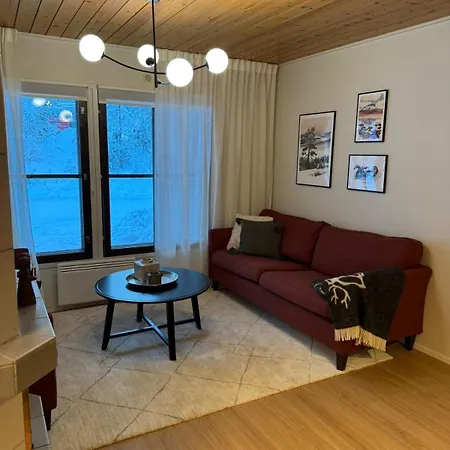 Cozy And Newly Renovated, Single-level In Levi