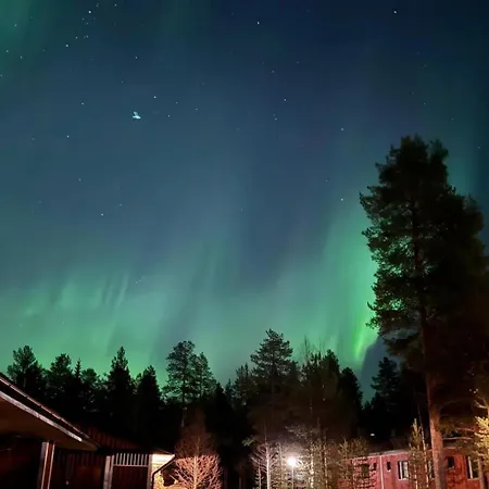 Cozy And Newly Renovated, Single-level In * 列维