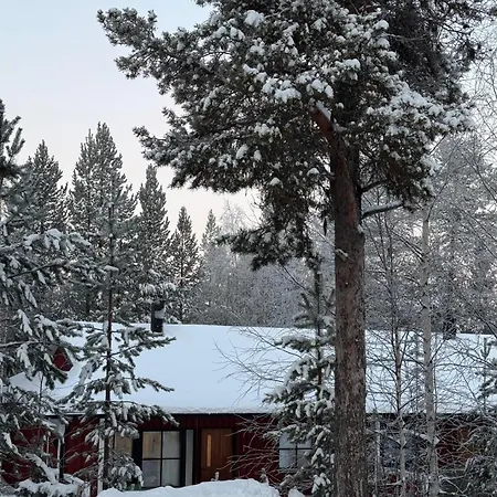 Cozy And Newly Renovated, Single-level In Lägenhet