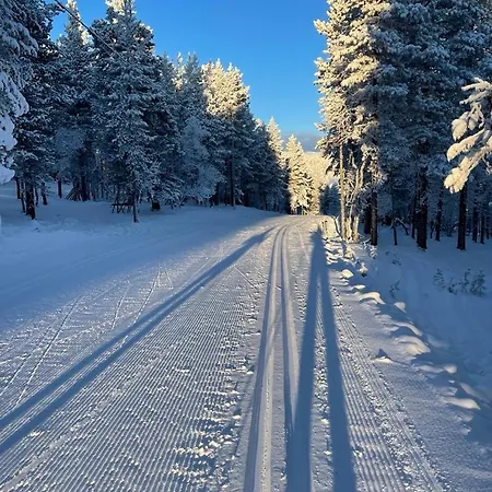 Cozy And Newly Renovated, Single-level In Levi