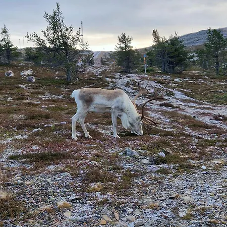 公寓 Cozy And Newly Renovated, Single-level In