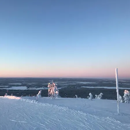 Cozy And Newly Renovated, Single-level In * Levi