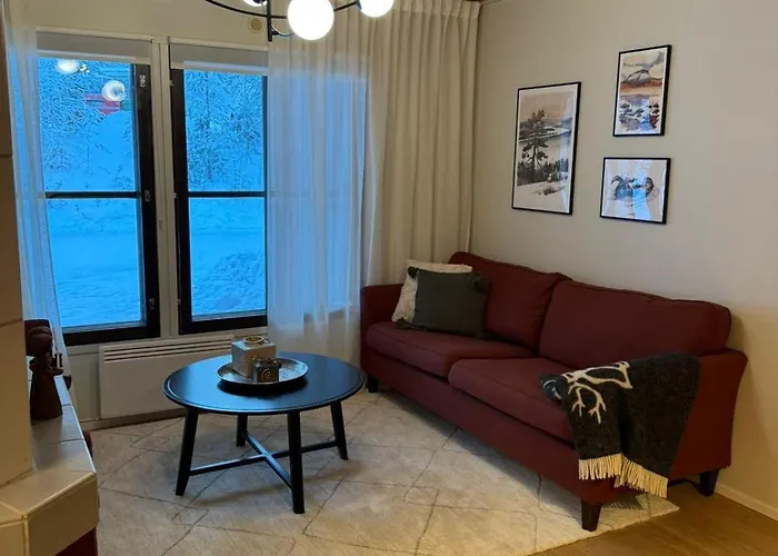 Cozy And Newly Renovated, Single-level In Levi