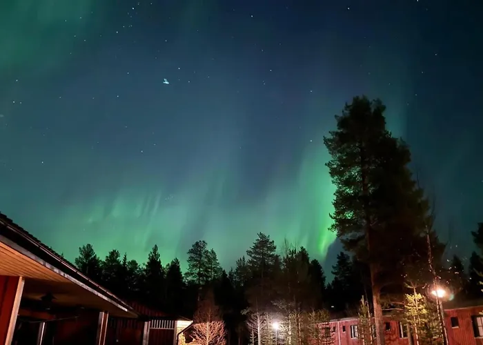 Cozy And Newly Renovated, Single-level In * 列维