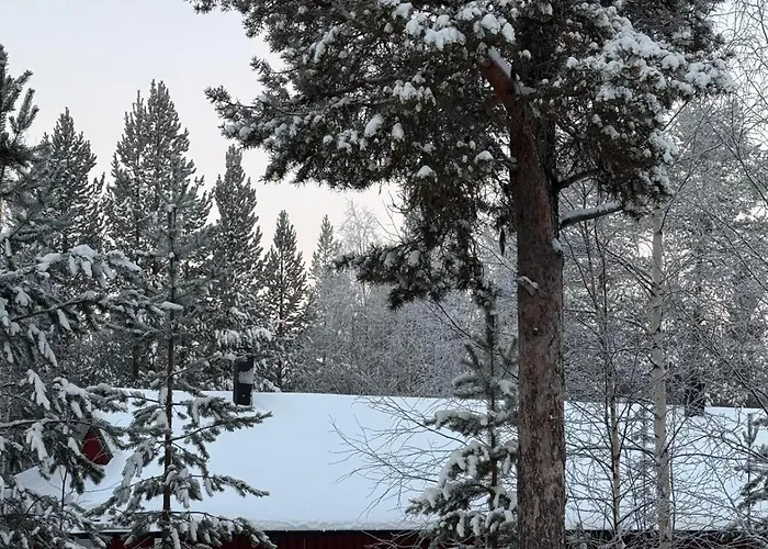 Cozy And Newly Renovated, Single-level In Lejlighed