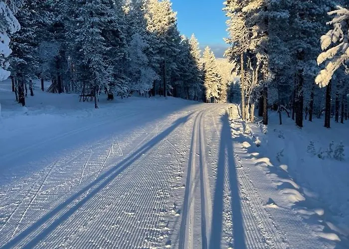 Cozy And Newly Renovated, Single-level In 列维