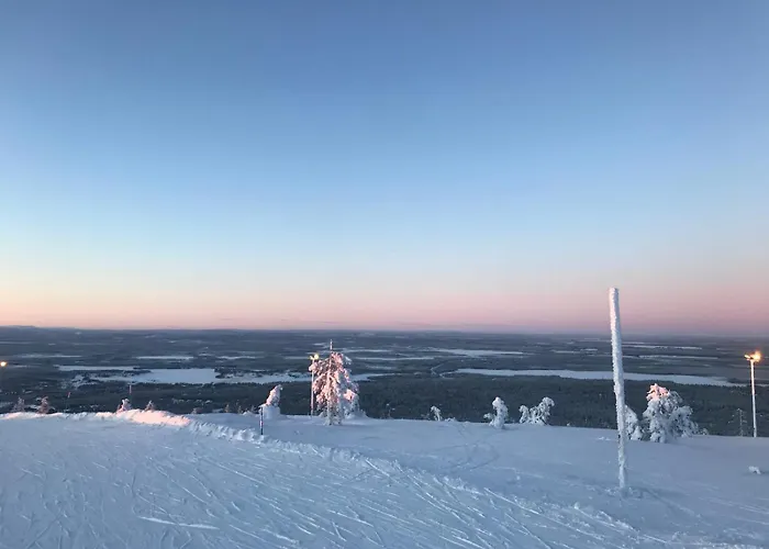 Cozy And Newly Renovated, Single-level In * Levi